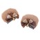Mobestech Hair Clip, 1 Pair Bear Ear Hair Clips, Hair Clips for Women, Halloween Ear Clips, Girl Hair Accessories, Flannel, Polyester, Iron, Hand Made, Miss, Camel Brown