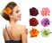 6 Pieces Rose Flower Hair Clips Hair Clips Hairpin Elegant Large Rose Floral Brooches Flamenco Dancer Flower Pin Up Flower Brooch Bride Headpiece Hair Accessories for Women Girls