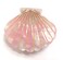 Shell Jaw Clip Hair Claw Clip Clamps Resin Hair Clips Marble Pattern Hairpins Hair Accessories for women Styling Hairdressing (Pink)