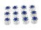 24 Pcs Bridal Wedding Rhinstone Spiral Twist Screw Hair Pins Rose Flower Hair Clips Spiral Bobby Pins Hair Bun Styling Tool Hair Accessories (Blue)