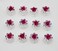 24 Pcs Bridal Wedding Rhinstone Spiral Twist Screw Hair Pins Rose Flower Hair Clips Spiral Bobby Pins Hair Bun Styling Tool Hair Accessories (Rose Red)