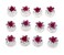 24 Pcs Bridal Wedding Rhinstone Spiral Twist Screw Hair Pins Rose Flower Hair Clips Spiral Bobby Pins Hair Bun Styling Tool Hair Accessories (Rose Red)