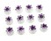 24 Pcs Bridal Wedding Rhinstone Spiral Twist Screw Hair Pins Rose Flower Hair Clips Spiral Bobby Pins Hair Bun Styling Tool Hair Accessories (Purple)