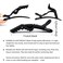 39 Pcs Butterfly Hair Clips Set with Non-slip Grip - Alligator Croc Clips, 3 Rat Tail Combs for Sectioning and Styling Hair Salon Tool for Girls