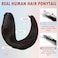 Hairro Clip On Ponytail Hair Extensions Jaw On Claw Clip Ponytails Real Hair Long Jaw/Claw Pony Tail With Clips Hairpieces For Women 14 Inch 105g 1B Natural Black