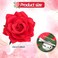 Rose Flower Hair Clip, Artifical Red Rose Flower Hairpin for Women, Fascinator Artificial Brooch Hairpins for Bridal Bridesmaid Girls, Rose Red Hair Accessories for Christmas, Wedding (Red)