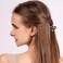 Cobahom 5 Pcs 1.7 Inch Small Claw Clips Acetate Hair Jaw Clips for Thick Hair Fashion Hollow Triangle Hair Clips for Women Girls (Light Leopard+Red+Deep Leopard + Black and White + Purple)