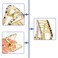 Cobahom 3 Pack Hollow Triangle Hair Clips for Women Girls 2 inch Acetate Hair Jaw Clips No-Slip Hair Clip Hair Styling Accessories for Women Lady