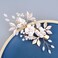 Hair Clip, Crystal Bridal Wedding Hair Clips, Pearl Rhinestone Hair Pins, Floral Hair Pieces for Brides Bridesmaids Women Girls
