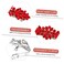 Red Austrian Hair Barrettes, Sparkly Zircon Crystal Hair Clips French Dedign Bridal Fashion Bling Rhinestons Hairpins, Wedding Hairgrip Hair Headwear Accessories for Women Girls Bride Bridesm