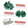 Green Austrian Hair Barrettes, Sparkly Zircon Crystal Hair Clips French Dedign Bridal Fashion Bling Rhinestons Hairpins, Wedding Hairgrip Hair Headwear Accessories for Women Girls