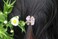 Yeshan Rhinestone and Crystal Metal Jaw Claw Hair Clip,Small Butterfly Design Barrettes for Women,pack of 6.