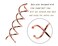 Mini Skater 2.36 inch Spiral Hair Pins Non-Scratch Rounded Tips Spiral Bobby Pins Blonde Hair Twist Screw Spin Pins for Women Buns Hair Styling DIY, Set of 20 (Rose Gold)