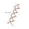 Mini Skater 2.36 inch Spiral Hair Pins Non-Scratch Rounded Tips Spiral Bobby Pins Blonde Hair Twist Screw Spin Pins for Women Buns Hair Styling DIY, Set of 20 (Rose Gold)