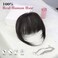 QGZ Clip in Bangs Hair Clip 100% Real Human Hair Clip on Bangs for Women 3 Secure Clip in Hair Extension Natural Full Coverage Thick French Fake Bangs (Black)