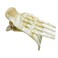 French Amie Bear Paw Small 2 &frac34;&rdquo; Ivory Celluloid Handmade Salon Hinge Side Slide Yoga Jaw Hair Claw Clip