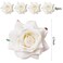 8 Pcs Rose Hair Clip Flower Hairpin Rose Brooch Floral Clips, Rose Flowers Mexican Hair Flowers Pin up Headpieces for Woman Girl Halloween Wedding Party Valentine Mother's Day Gift(White)