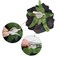 Rose Hair Clip Flower Hairpin Rose Brooch Floral Clips, 4 Pcs Fabric Rose Flowers Hair Clips Mexican Hair Flowers Pin up Headpieces for Woman Girl Wedding Party Mother's Day (Black)