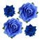Rose Hair Clip Flower Hairpin Rose Brooch Floral Clips, 4 Pcs Fabric Rose Flowers Hair Clips Mexican Hair Flowers Pin up Headpieces for Woman Girl Wedding Party Mother's Day (2 Sizes) (Blue)