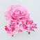 Rose Hair Clip Flower Hairpin Rose Brooch Floral Clips, 4 Pcs Fabric Rose Flowers Hair Clips Mexican Hair Flowers Pin up Headpieces for Woman Girl Wedding Party Mother's Day (2 Sizes) (Pink)