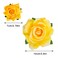Rose Hair Clip Flower Hairpin Rose Brooch Floral Clips, 4 Pcs Fabric Rose Flowers Hair Clips Mexican Hair Flowers Pin up Headpieces for Woman Girl Wedding Party Mother's Day (2 Sizes) (Yellow)