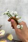 Set of 5 Baby breath bridal hair pins wedding piece tiny flower hairpiece