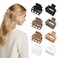 Small Matte Claw Clips Set for Women and Girls - 4 Double Row Teeth Clips for Thin Hair, 4 Medium Square Mini Clips for Long or Short Hair, Hair Accessories