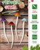 Taiyin Mushroom Print Hair Sticks - 4 Pcs Cute Chopsticks for Women and Girls, Bun Sticks for Long Hair (Multicolor)