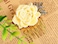Alilang Gold Tone Sculpted Yellow Enamel Flower Rainbow Rhinestones Bow Leaves Hair Pin Clip Comb, One Size, 1 Piece