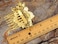 Alilang Gold Tone Sculpted Yellow Enamel Flower Rainbow Rhinestones Bow Leaves Hair Pin Clip Comb, One Size, 1 Piece