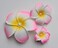 Sowaka 3 Pcs Plumeria Flower Hair Clip with Pearl Multi Size White Hawaiian Foam Hair Accessories for Women Girls Beach Bridal Wedding Party Headpieces Decoration (Pink)