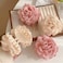 2Pcs Hawaiian Chiffon Pink Apricot Floral Fabric Silk Rose Tulle Blossom Hair Clips and Claw Clips, Summer Hair Accessories
