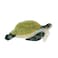 Fantasy Funny Turtle Hair Clip,Acetate Hair Clip,Small Claw Clip for Women,Green, 1 Count (Pack of 1)