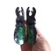 Funny Stag Beetle Hair Clip,Acetate Hair Clip,Small Claw Clip for Women, 1 Count (Pack of 1)