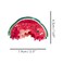 Funny Watermelon Hair Clip,Acetate Hair Clip,Small Claw Clip for Women,Red, 1 Count (Pack of 1)