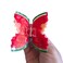 Funny Watermelon Hair Clip,Acetate Hair Clip,Small Claw Clip for Women,Red, 1 Count (Pack of 1)