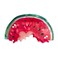 Funny Watermelon Hair Clip,Acetate Hair Clip,Small Claw Clip for Women,Red, 1 Count (Pack of 1)