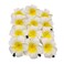 6 Pcs White Yellow Hawaiian Plumeria Flower Foam Hair Clips Alligator Clips Duckbill Clips Hair Barrettes Hair Accessories for Bridal Wedding Party Beach