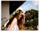 3Pcs 3.9" Lady Girls Sunflower Hair Alligator Clips Hairpin Hair Clamp Hair Styling Accessories for Party Beach Vacation Wedding Bridal Barrettes (Yellow)