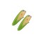 Hair Clips 2pcs Duckbill Barrettes Acrylic Corn Hair Pins Cute Small Hair Clip Girls Hair Accessories