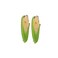 Hair Clips 2pcs Duckbill Barrettes Acrylic Corn Hair Pins Cute Small Hair Clip Girls Hair Accessories