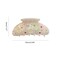 Colorful Butterfly Printing Hair Clip,Acetate Claw Clip for Women,Women Hair Accessories