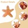 2 PCS Starfish Hair claw Clips Conch Hair Clips Cellulose Acetate Hair Clips Small Claw Clips Animal Shape Hair Jaw Clips Sea Life Hair Clip Beach Accessories Stylish Women Girl Glitter Hair Clips