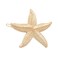 Starfish Hair Clips Shell Hair Pin Conch HairPin Sea Star Mermaid Hair clip Pin BW05 (2 Pcs-Starfish)