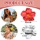 6Pcs Hawaiian Hibiscus Flower Beach Hair Clips - 3.5 Inch Hair Accessories for Women