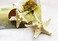 Mermaid Starfish Hair Accessories: Seashell Hair Clips, Sea Star Headpieces for Women and Girls