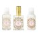 Shelley Kyle Ballerine Mini Gift Set, Includes Travel Size Perfume, Lotion, And Shower Gel, Packaged in Beautiful Cream and Gold Gift Box with Ribbon