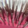 Phillips Brush Ruby Light Touch 6-P Hair Brush - Part of the Gem Collection (Purse sized)