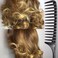 Carbon Wide Tooth Rake Comb with Tail &ndash; Child-Friendly Detangler, Natural Curl &amp; Beach Wave Comb, Texture Styler, In-Shower &amp; Static-Free Styling for All Hair Types