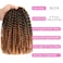 8 Inch Passion Twist Hair Short Marlybob Crochet Hair Marlybob Marlybob Crochet Braids Hair Crochet Hair For Black Women (8 Inch, 1B/27 9 Bundles Marlybob)